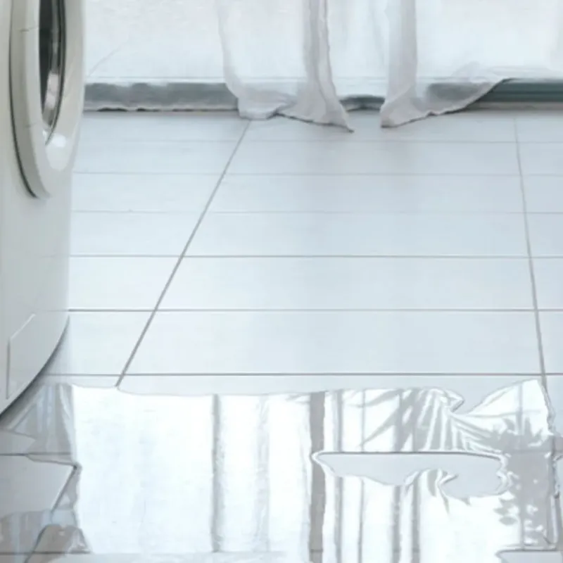 Appliance Leak Cleanup in Kingsgate, WA