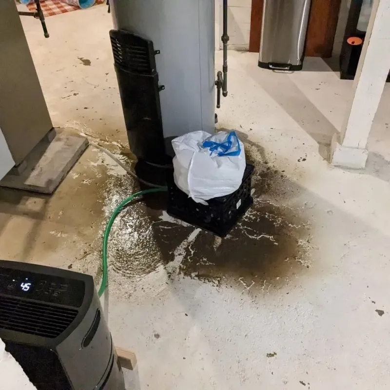 Sewage Backup Cleanup Service in Kingsgate, WA